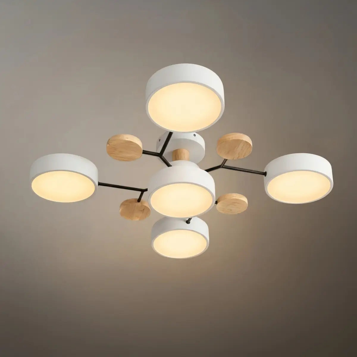 Modern_Round_Ceiling_Light